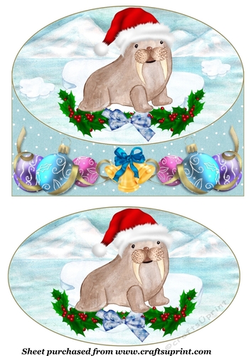 Polar Walrus Christmas card front