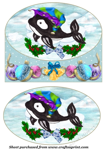 Polar Whale Christmas card front