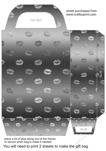 Silver bling gift bag 4