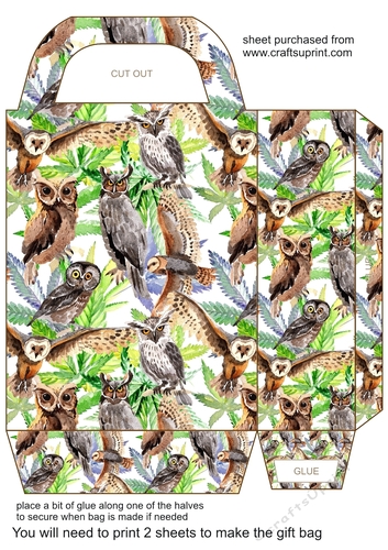 Gorgeous owls gift bag 1