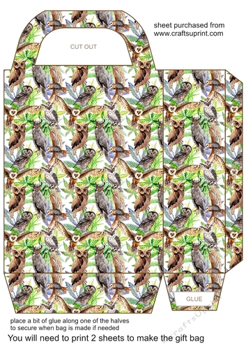 Gorgeous owls gift bag 2