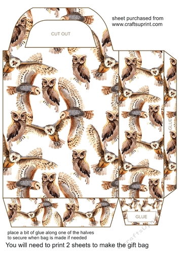 Gorgeous owls gift bag 4