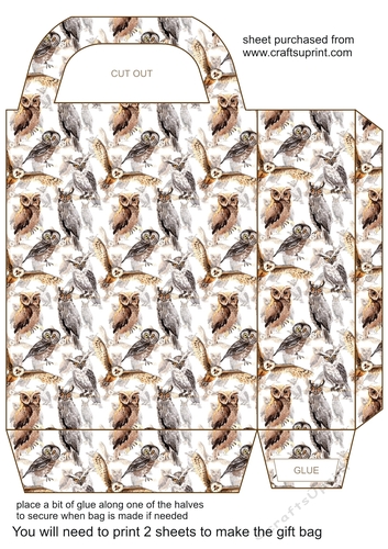 Gorgeous owls gift bag 5