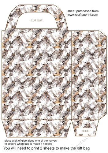 Gorgeous owls gift bag 6