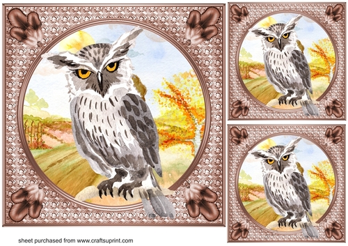 3 Water colour owl card fronts/toppers 1