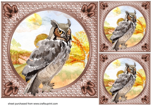 3 Water colour owl card fronts/toppers 3