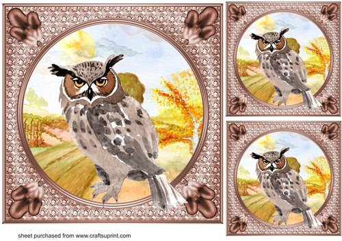 3 Water colour owl card fronts/toppers 4
