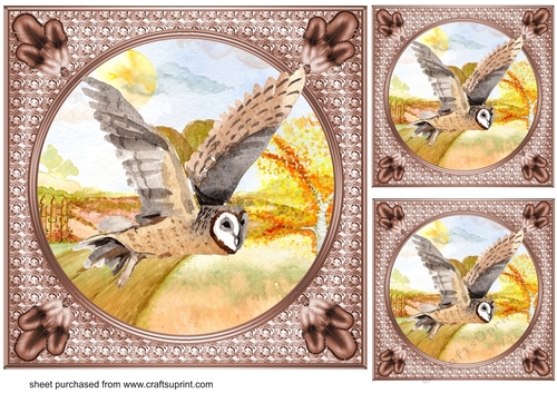 3 Water colour flying owls card fronts/toppers 1