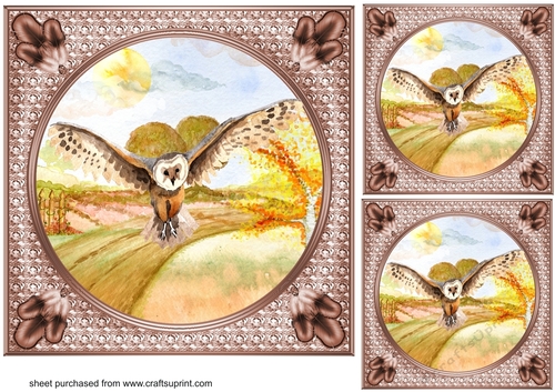 3 Water colour flying owls card fronts/toppers 2
