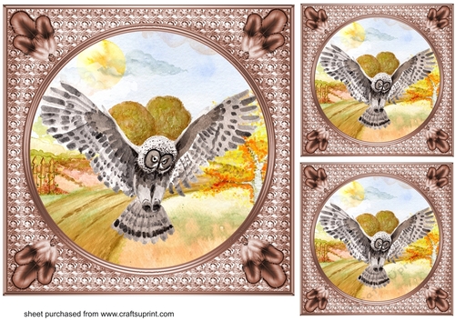 3 Water colour flying owls card fronts/toppers 4