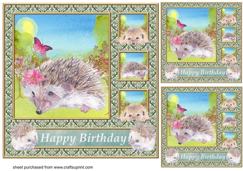 3 Quintet frame Happy Birthday hedgehog card fronts/toppers