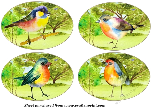 4 Water colour bird toppers