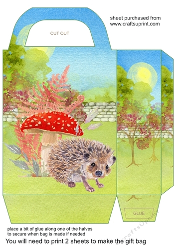 Cute floral hedgehog gift bag 1