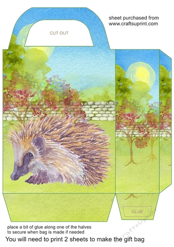 Cute floral hedgehog gift bag 2