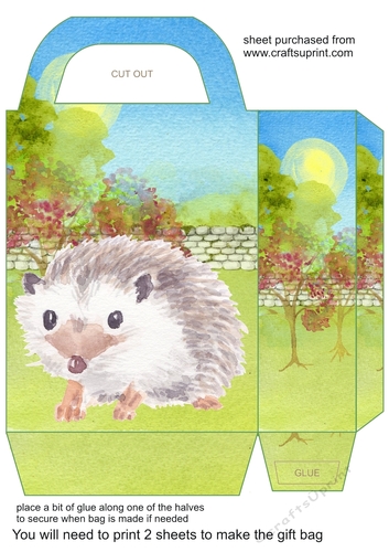 Cute floral hedgehog gift bag 4