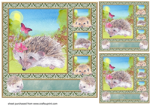 3 Quintet frame hedgehog card fronts/toppers