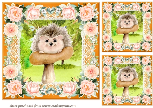 3 Peach cute hedgehog card fronts/toppers