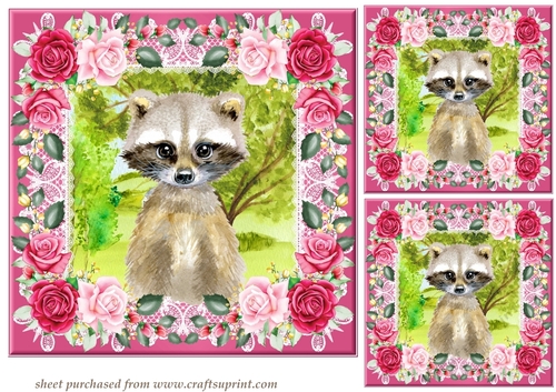 3 Pink raccoon card fronts/toppers