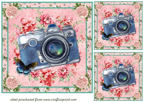 3 Floral camera card fronts/toppers