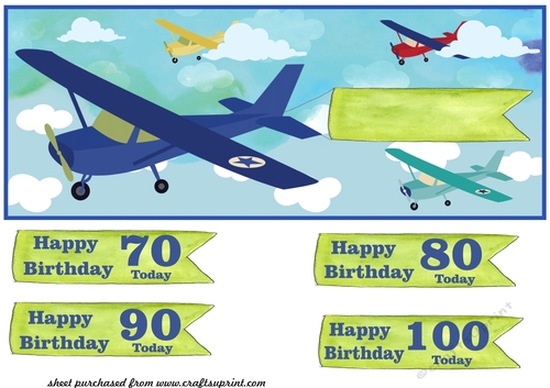 Large 70/80/90/100 Birthday plane fly pass card front