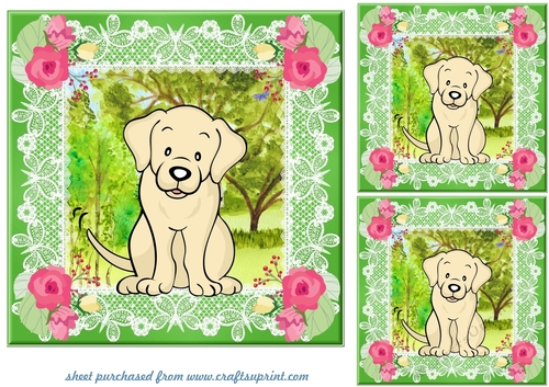 3 Floral yellow Lab card fronts/toppers