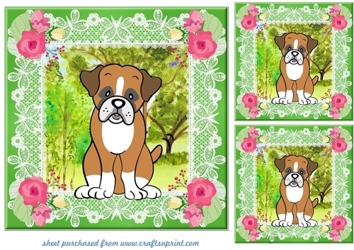 3 Floral Boxer card fronts/toppers 