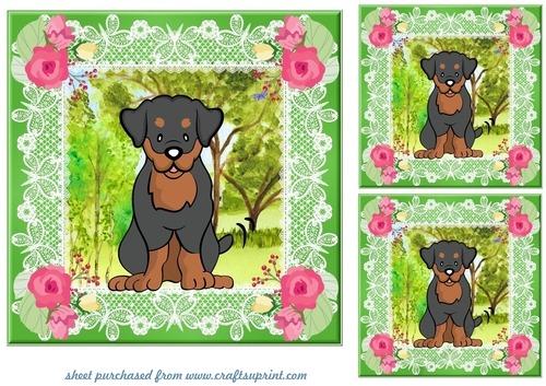 3 Floral Rottweiler card fronts/toppers 