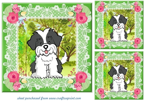 3 Floral Shih Tzucard fronts/toppers 2