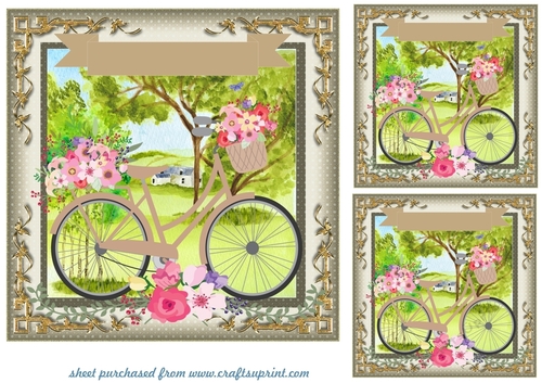 3 Beige floral bicycle card fronts/toppers