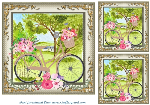 3 Beige floral bicycle card fronts/toppers(no banner)