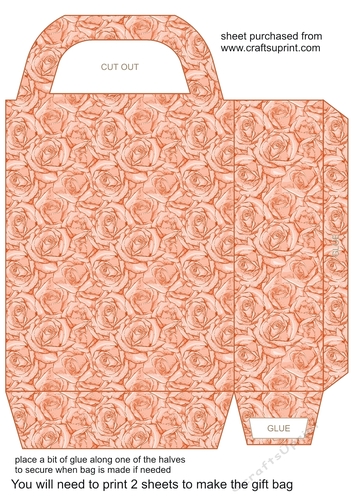 Salmon roses gift bag