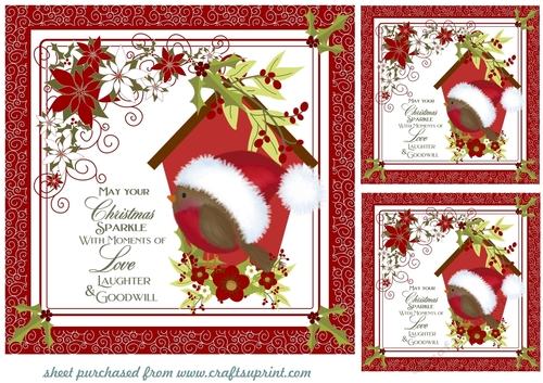 3 Red Christmas robin card fronts/toppers
