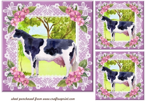 3 Black and white cow card fronts/toppers 1