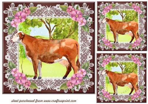 3 Brown and white cow card fronts/toppers 1