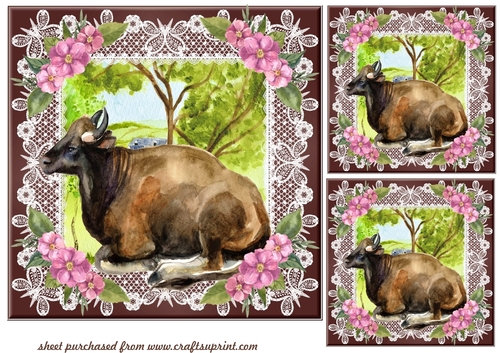 3 Brown and white cow card fronts/toppers 3
