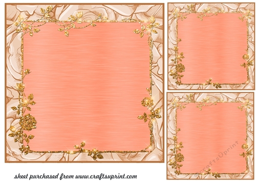 3 Sandy rose framed card fronts/toppers