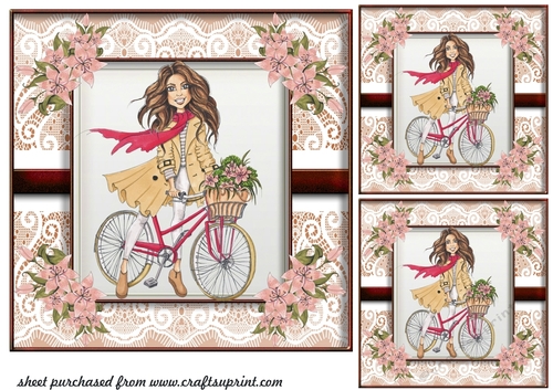 3 Just a girl with her bicycle card fronts/toppers 1