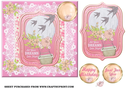 Pink let your dreams take flight card front 1