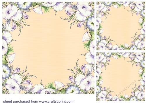 3 Cream morning glory card fronts