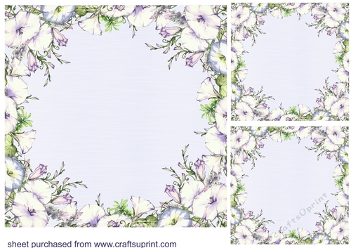 3 Blue morning glory card fronts