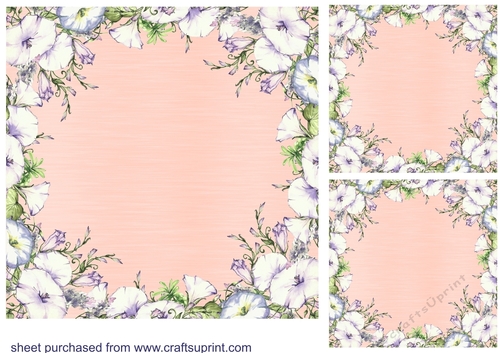 3 Peach morning glory card fronts