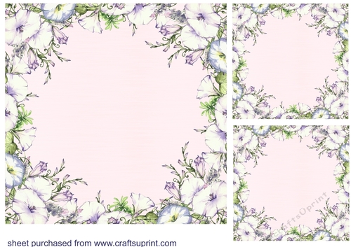3 Pink morning glory card fronts