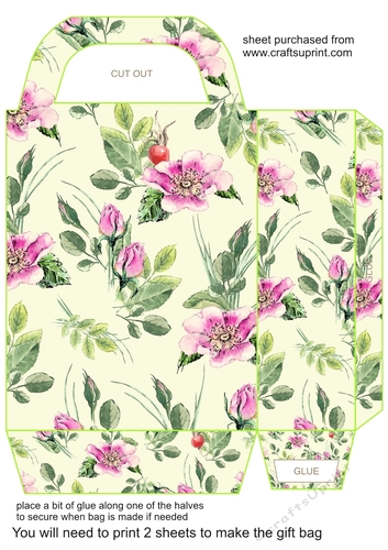 Rose hip gift bag 3
