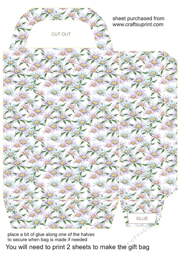 Daisy gift bag 5