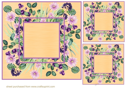 3 Floral frame card fronts/toppers 1