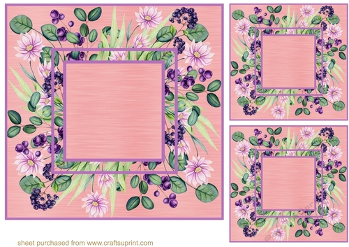 3 Floral frame card fronts/toppers 4