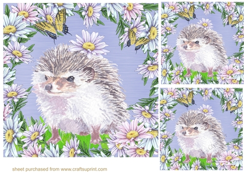 3 Daisy hedgehog card fronts/toppers 3