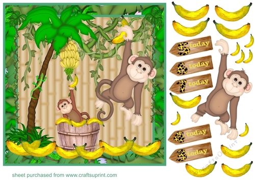Little monkey age Birthday card front