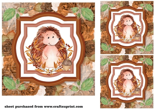 3 Brown floral hedgehog card fronts/toppers 1