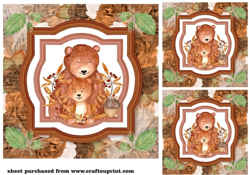 3 Brown floral bear card fronts/toppers 